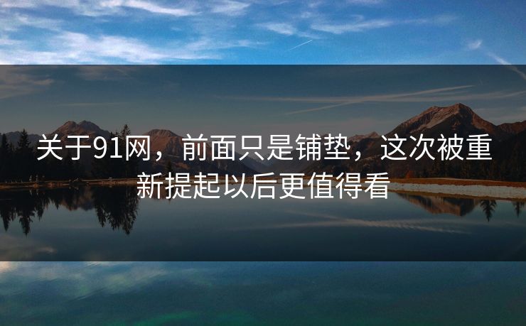 关于91网，前面只是铺垫，这次被重新提起以后更值得看