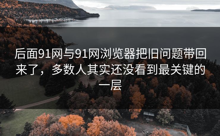 后面91网与91网浏览器把旧问题带回来了，多数人其实还没看到最关键的一层