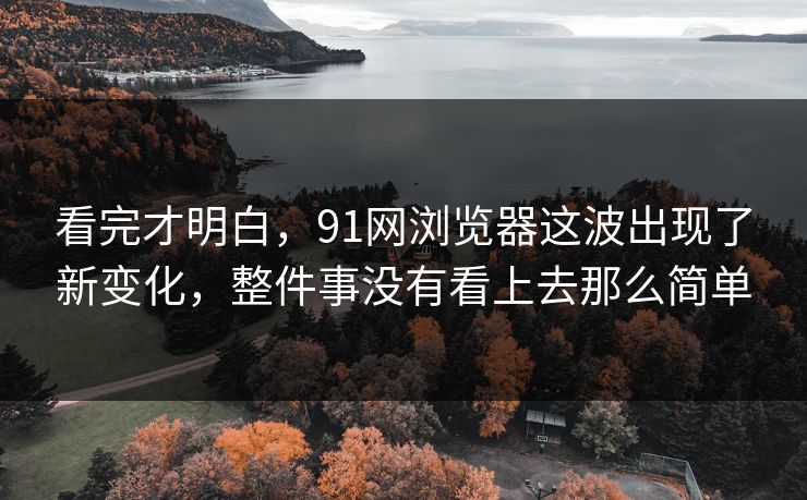 看完才明白，91网浏览器这波出现了新变化，整件事没有看上去那么简单