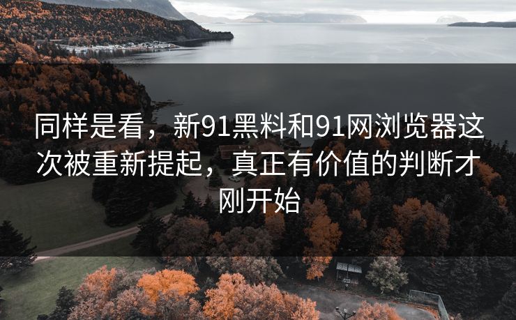 同样是看，新91黑料和91网浏览器这次被重新提起，真正有价值的判断才刚开始